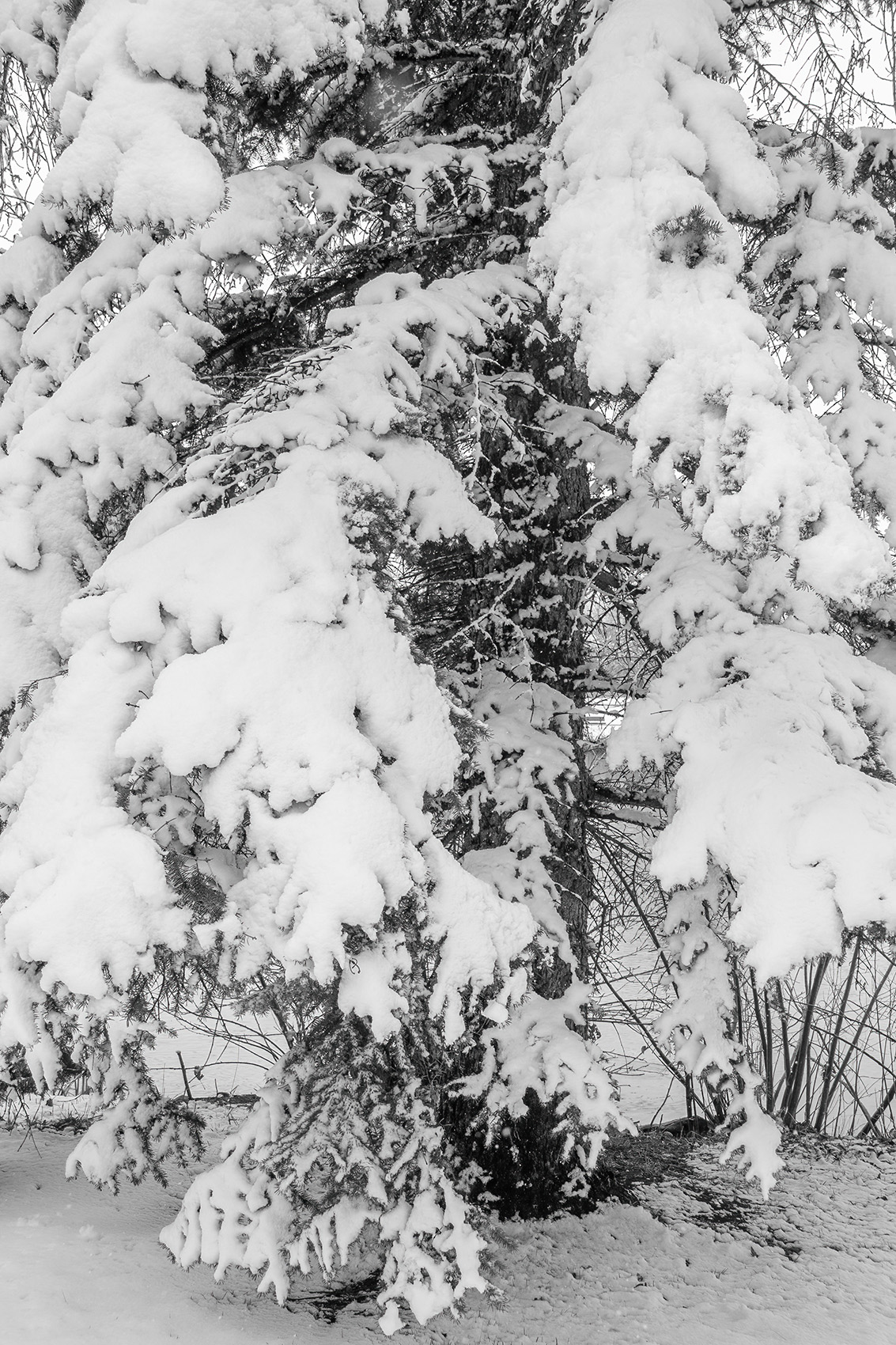 Pulling the winter coat back out of the closet, Kinsmen Park, Strathmore, Alberta, 2025-04-20