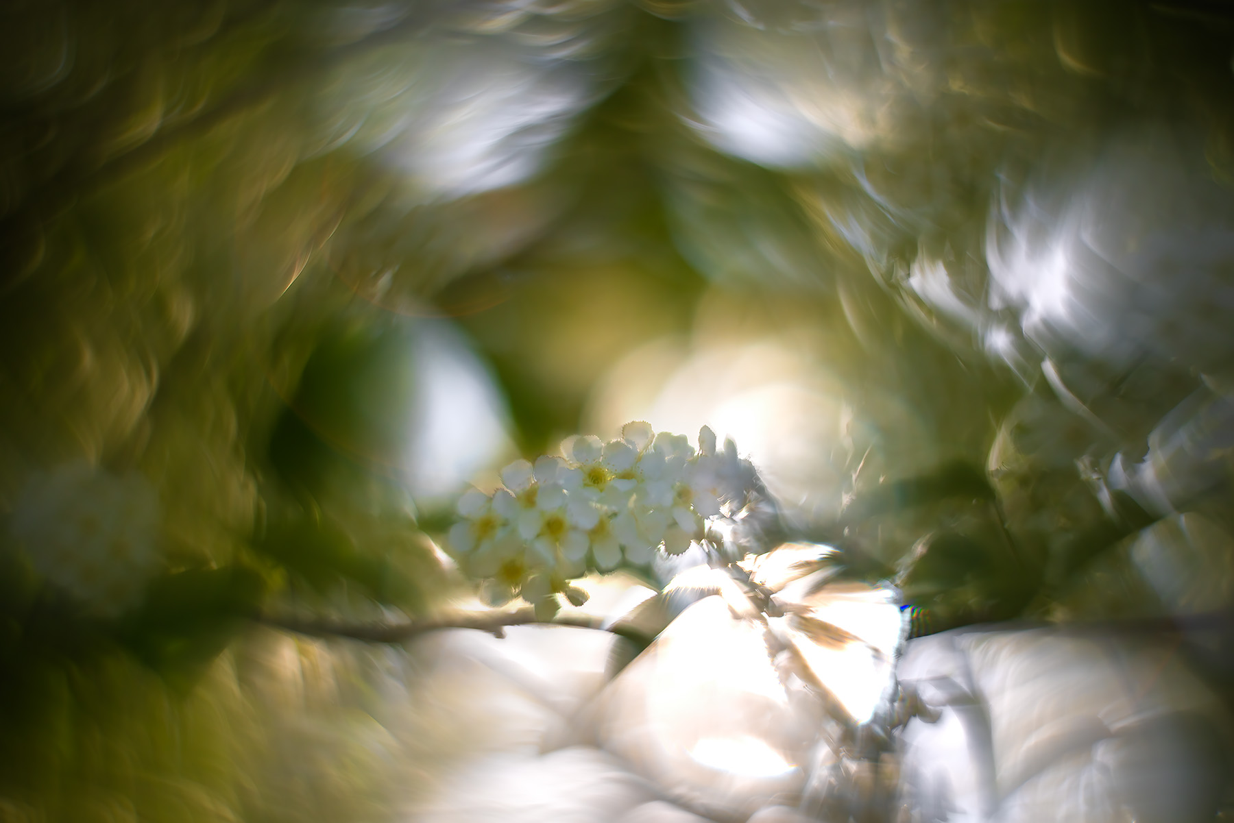 Whrilygig, Lambert Park, Strathmore, AB, 2025-05-14