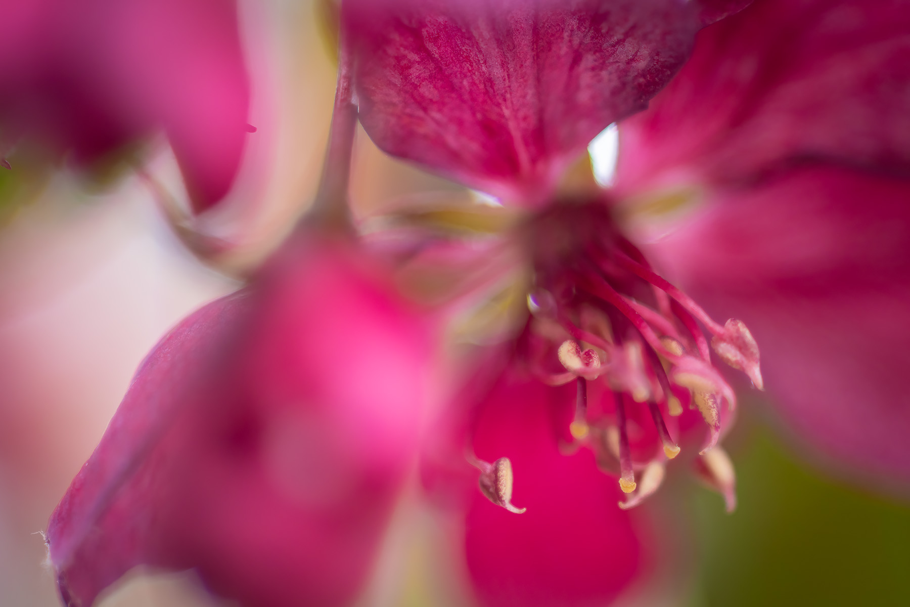 It's the thought that counts, My Backyard, Strathmore, AB, 2025-05-015