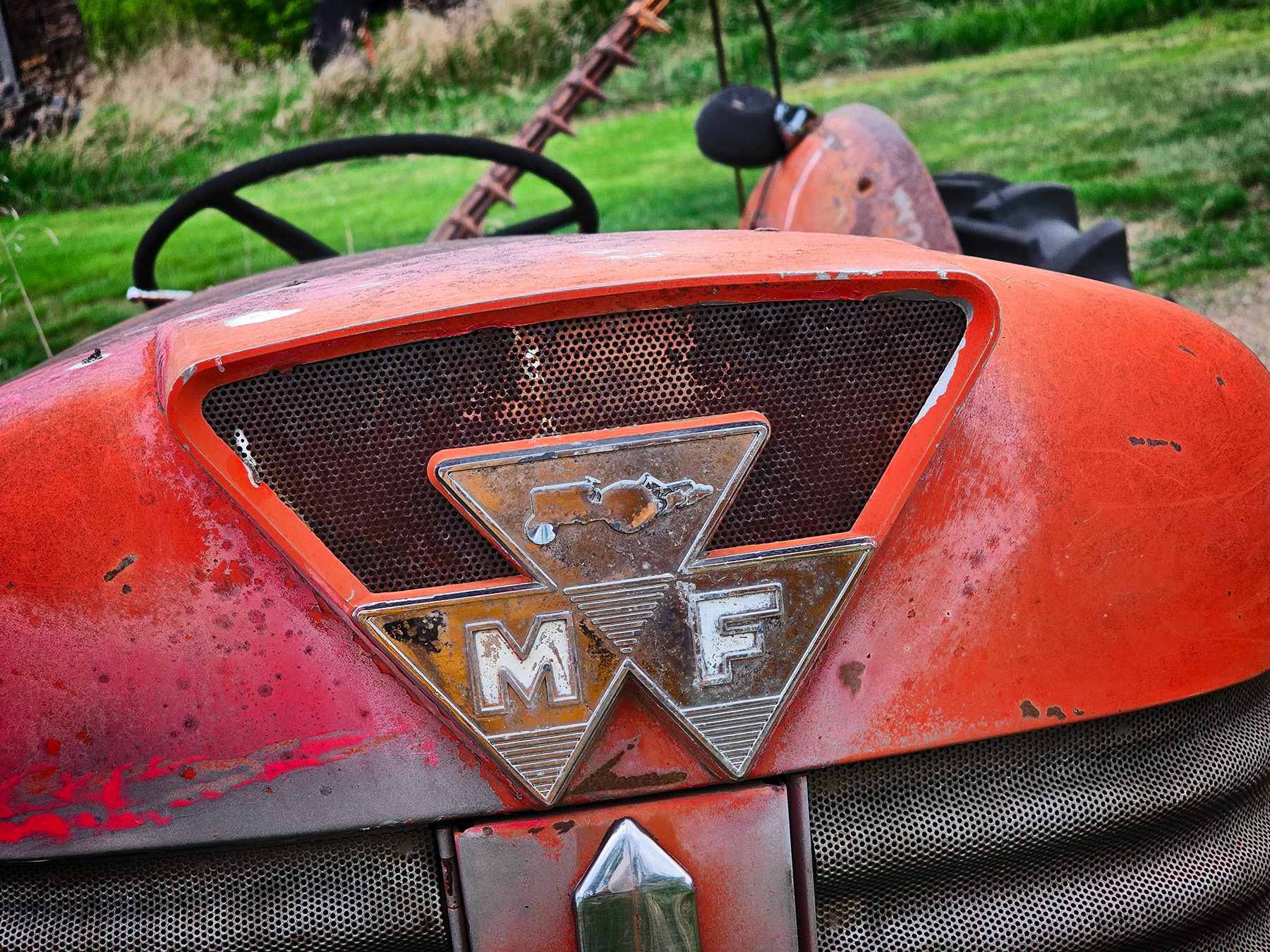 All up in your grill, 65 Massey, Sunnyridge Farm, 2025-05-18
