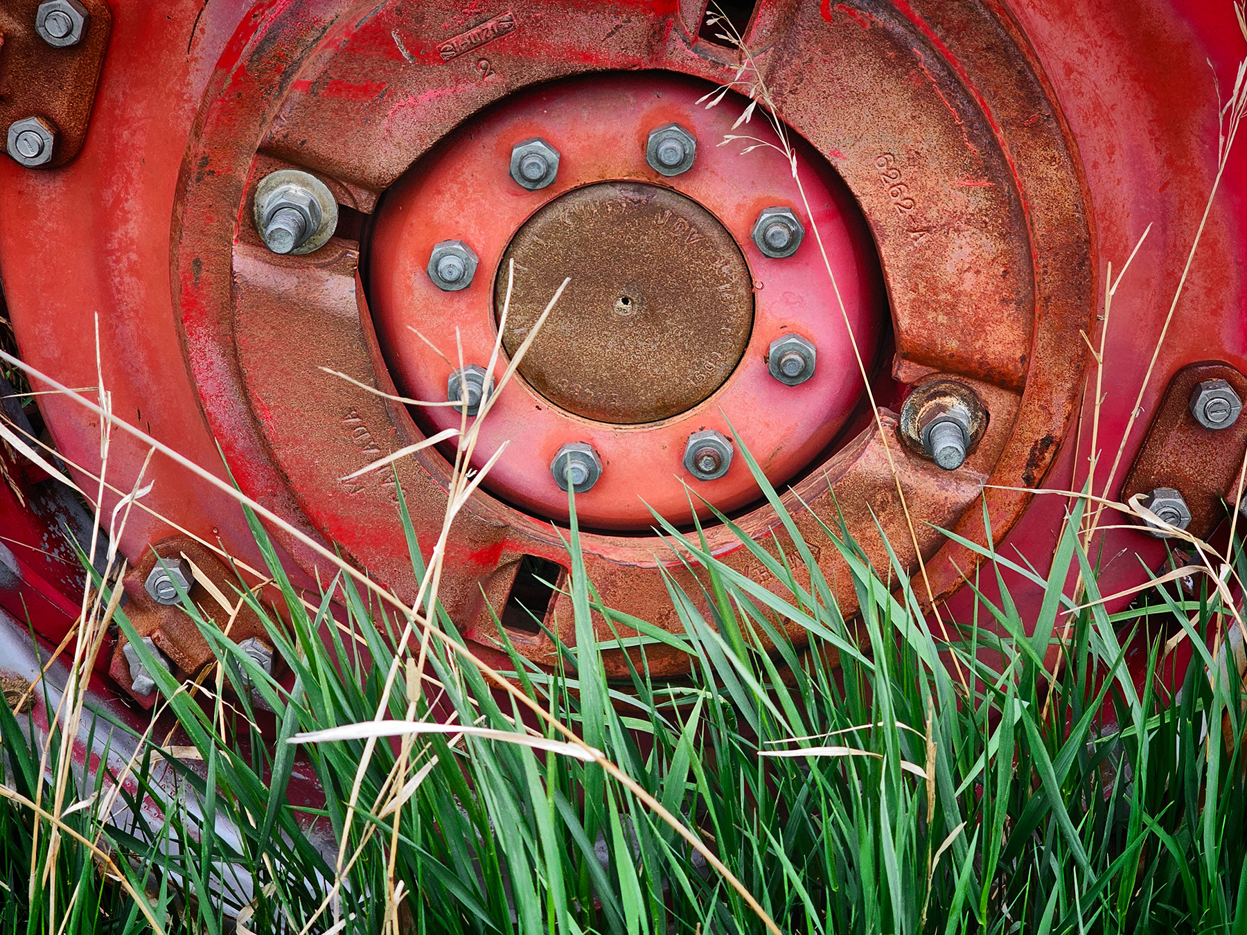 Spring wheelies, 65 Massey, Sunnyridge Farm, 2025-05-18