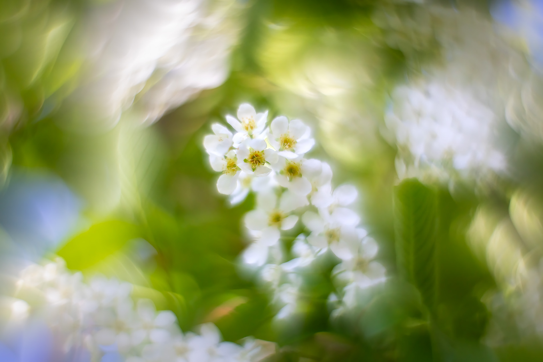 Grab bag from the party, My Backyard, Strathmore, AB, 2025-05-21