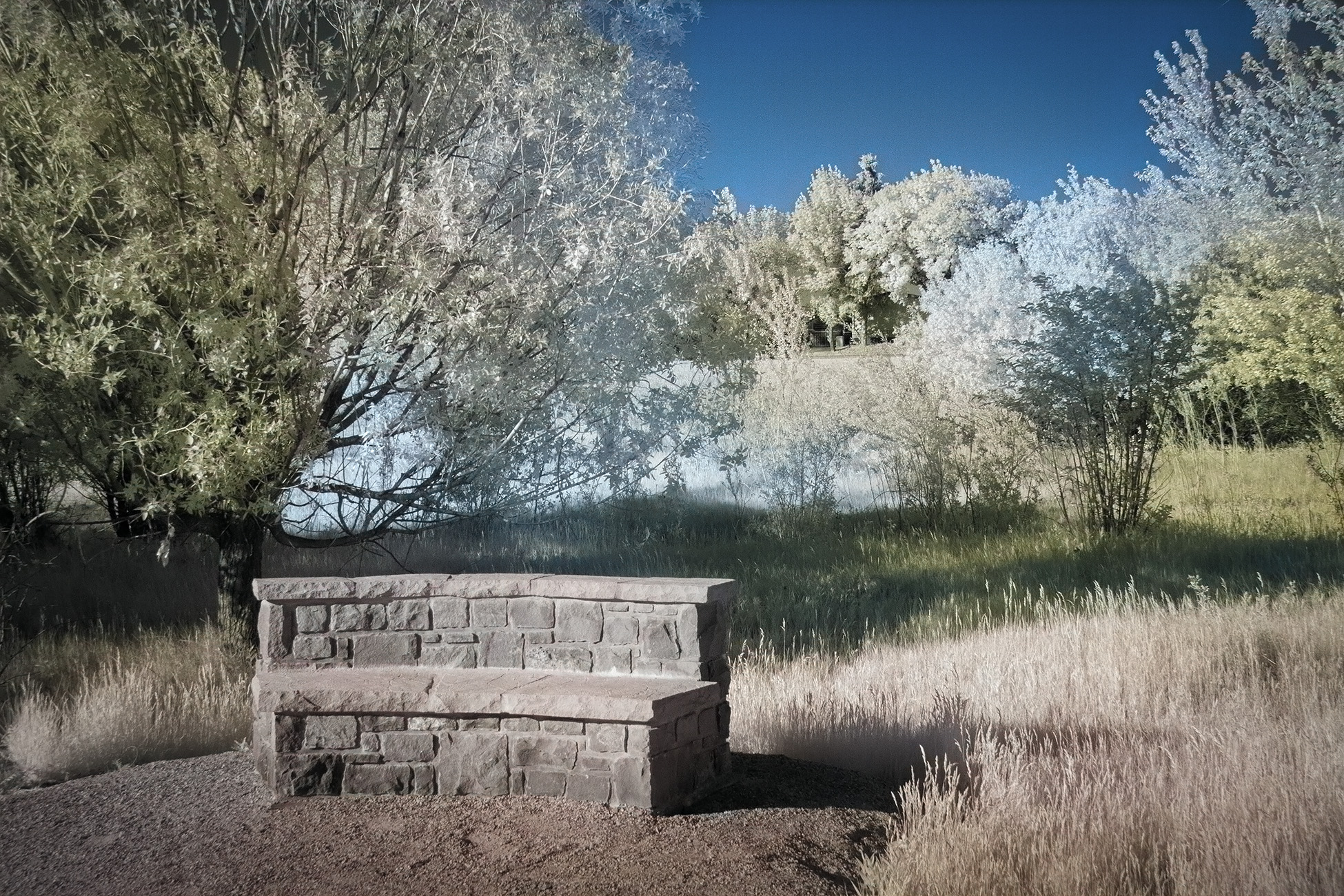 Benched again, Gray Park, Strathmore, AB, 2025-05-30