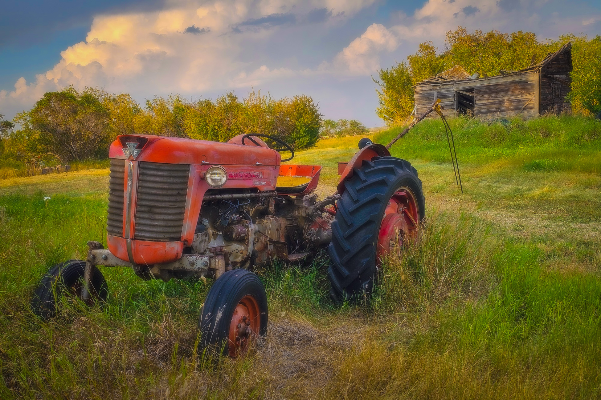 '65 Massey again, Sunnyridge Farm, Kirriemuir, Alberta, 2025-08-31