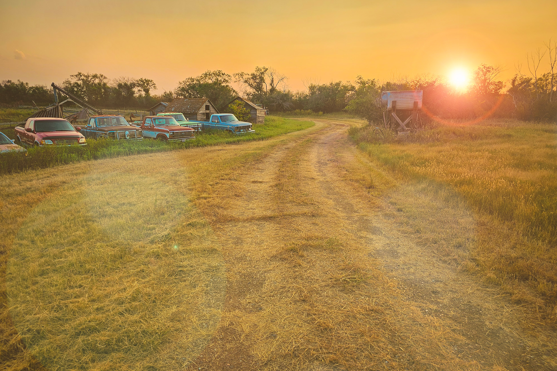 Day's end, Sunnyridge Farm, Special Areas No. 4, Alberta, 2025-09-14