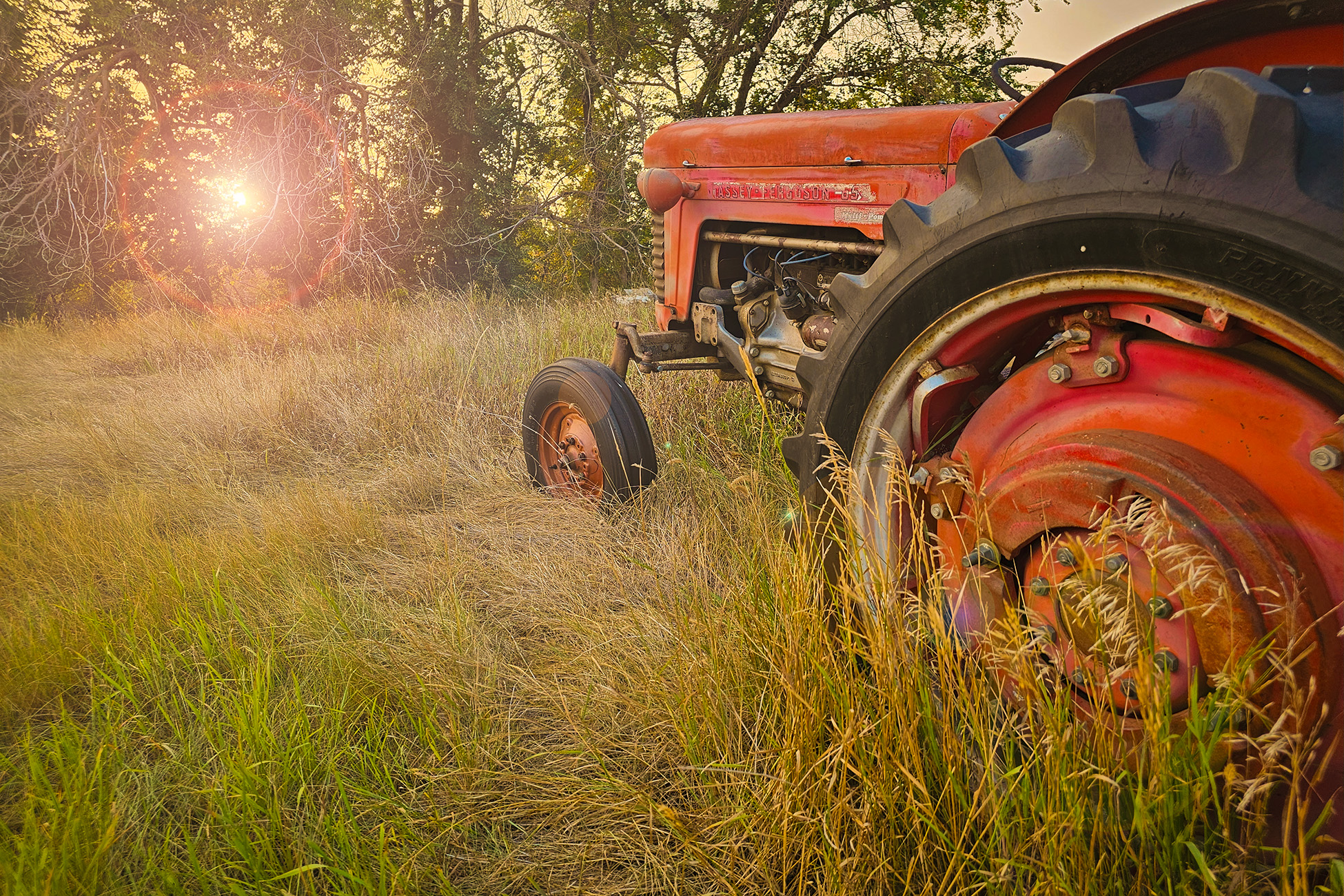 Don't look into the sun, Sunnyridge Farm, Special Areas No. 4, Alberta, 2025-09-14