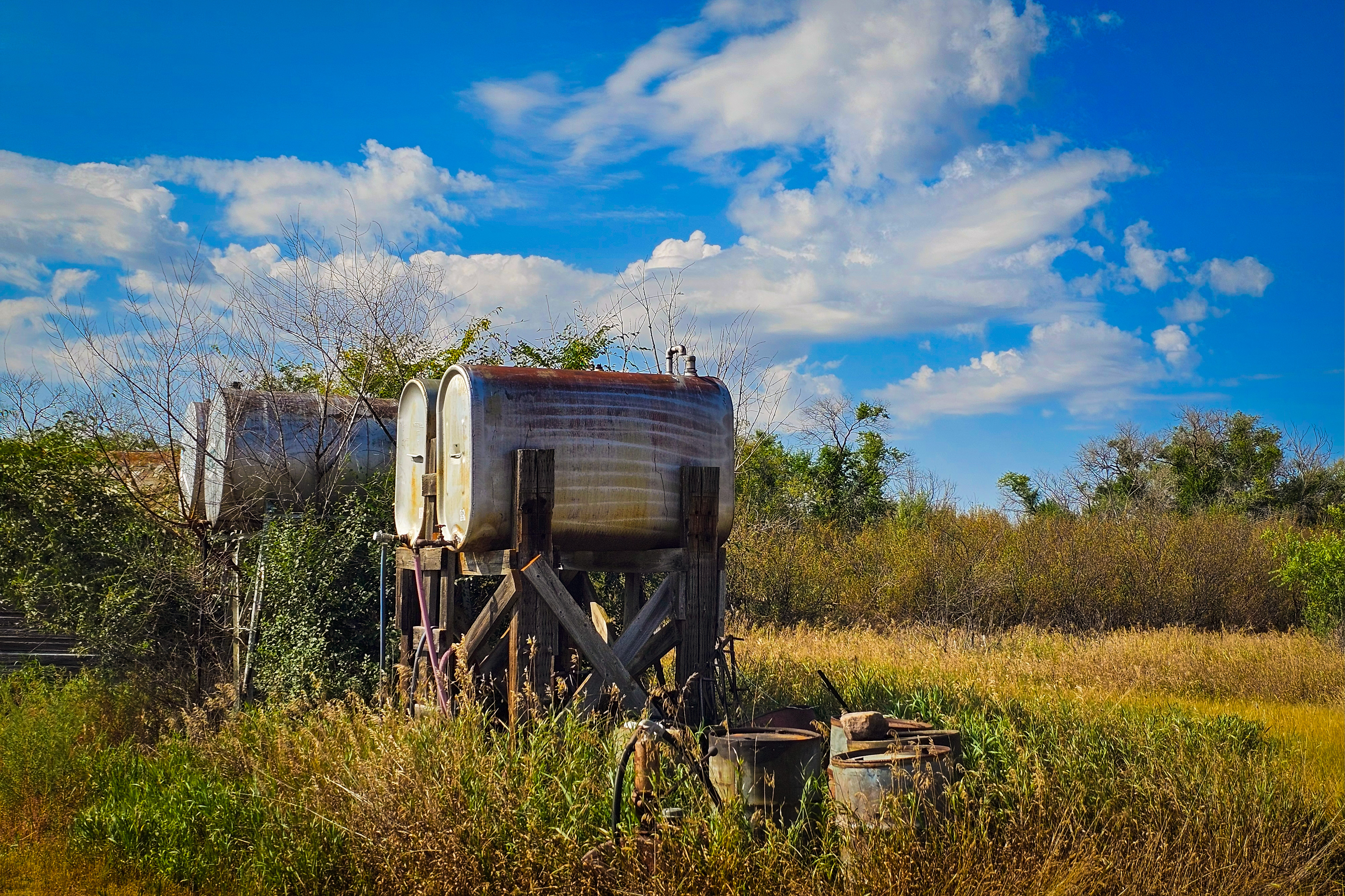 Having a gas, Sunnyridge Farm, Special Areas No. 4, Alberta, 2025-09-14