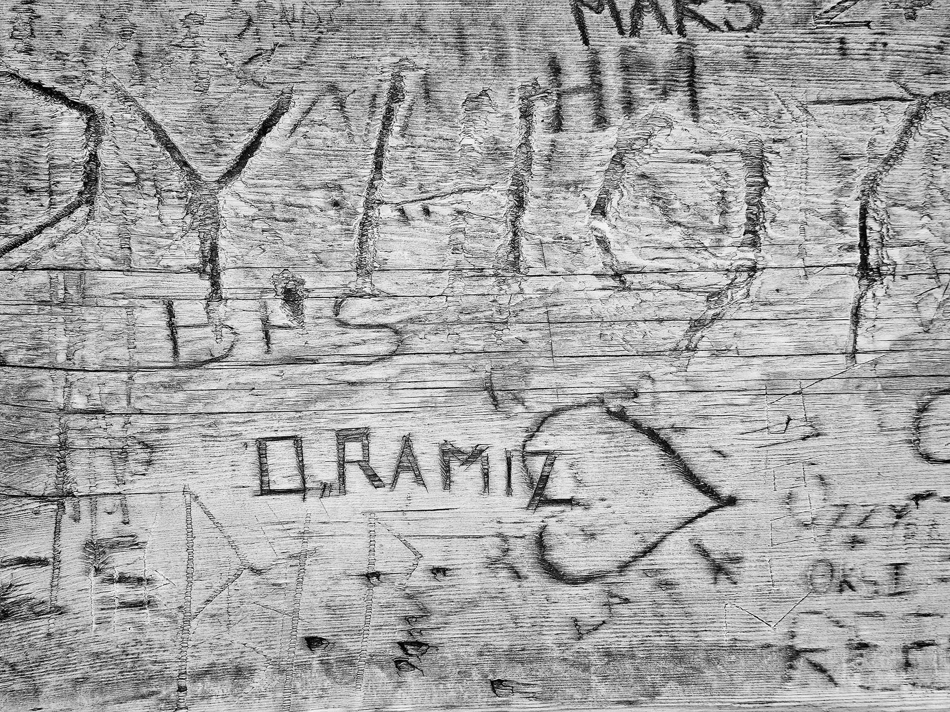 Grafitti on Picnic Table 01, Cypress Hills Provincial Park, AB, 2025-10-04