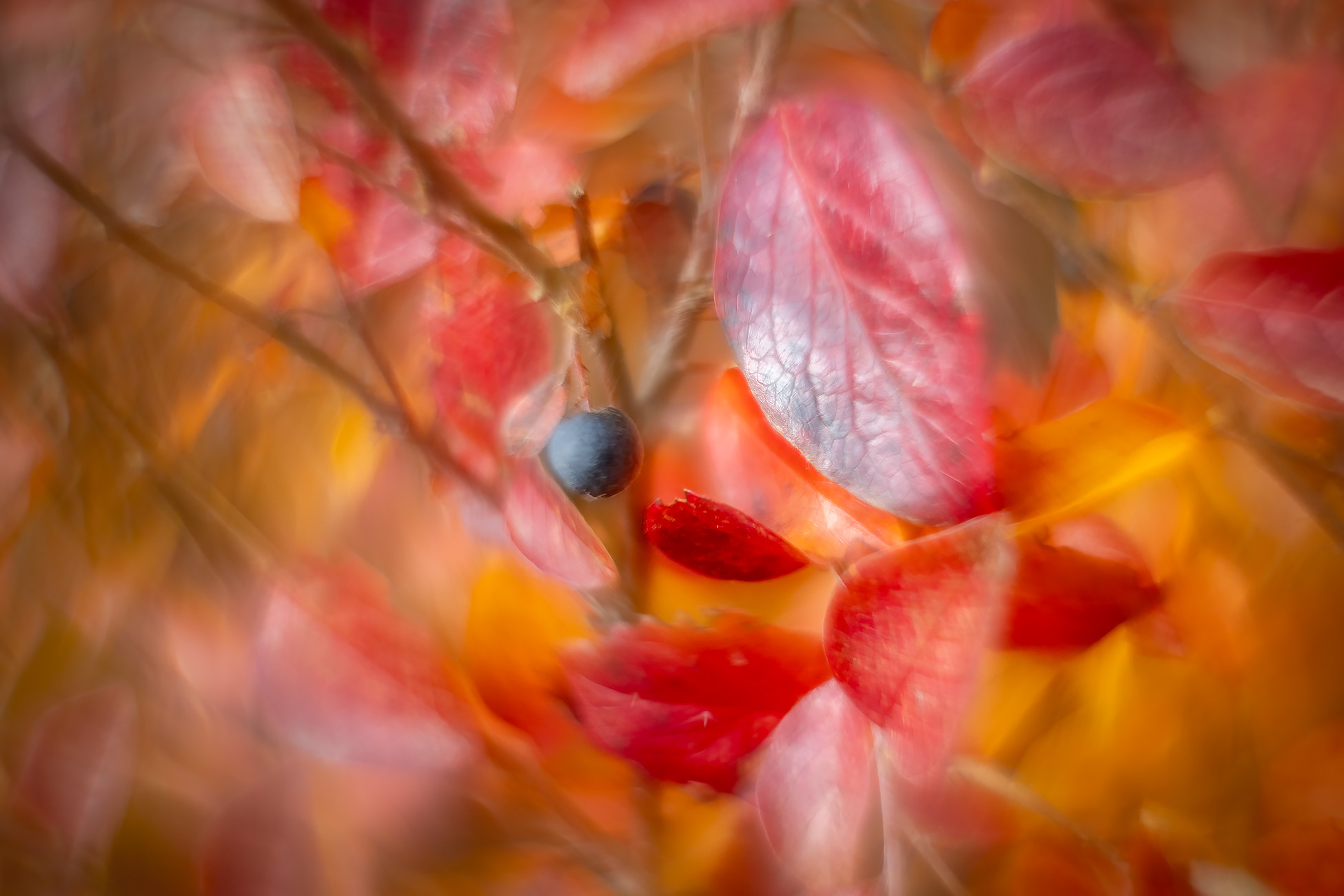 Make yourself at home, My Front Yard, Strathmore, AB, 2025-10-24