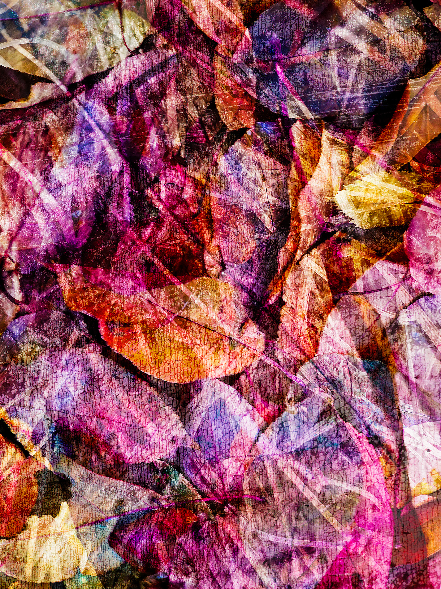 A layered approach, My Backyard, Strathmore, AB, 2025-11-01