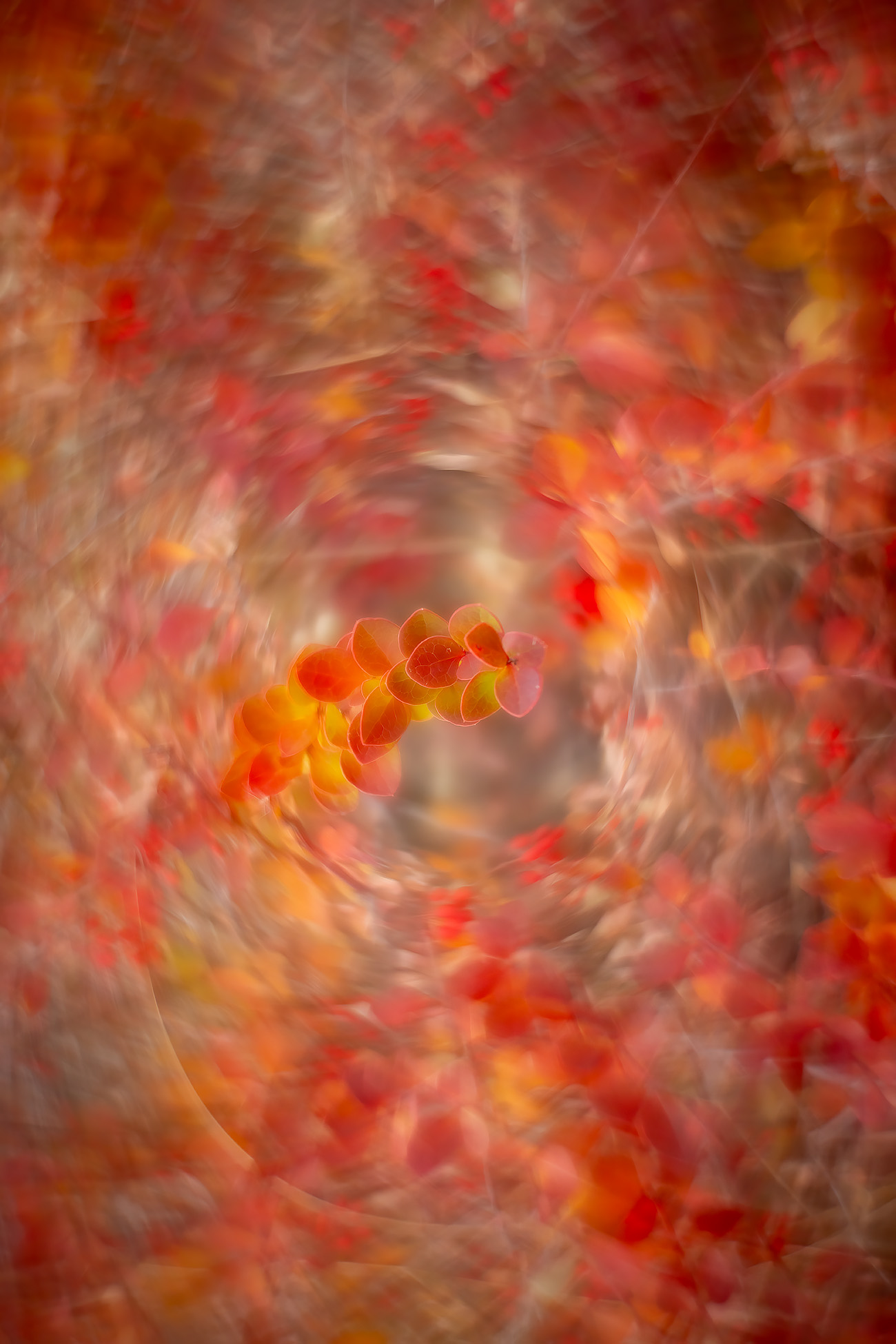 Reacharound, Thomas Drive Pathway, Strathmore, AB, 2025-11-05