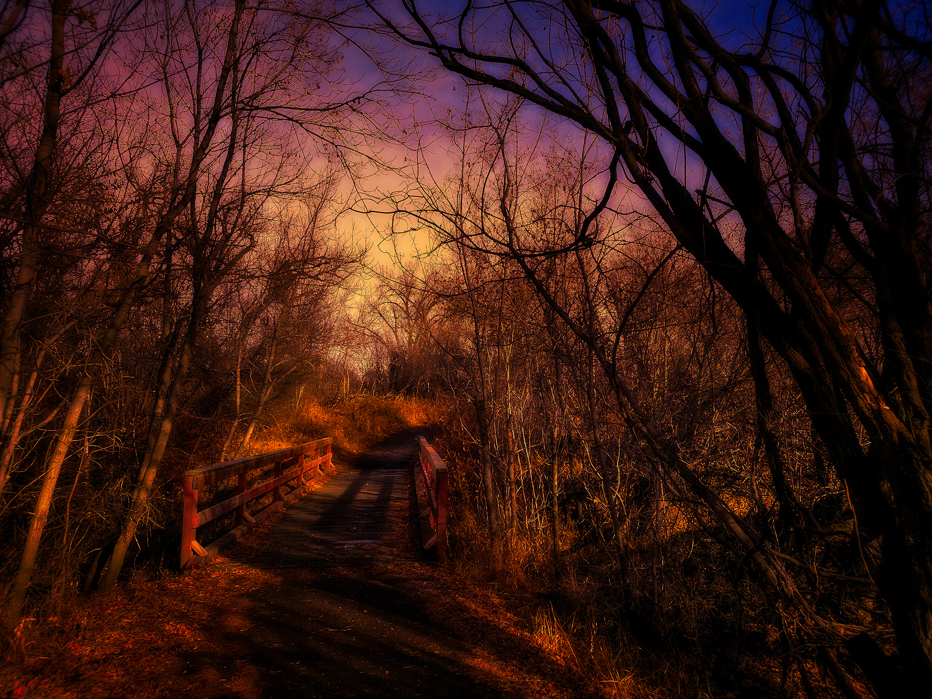 Just a foot bridge, Drumheller, AB, 2025-11-10