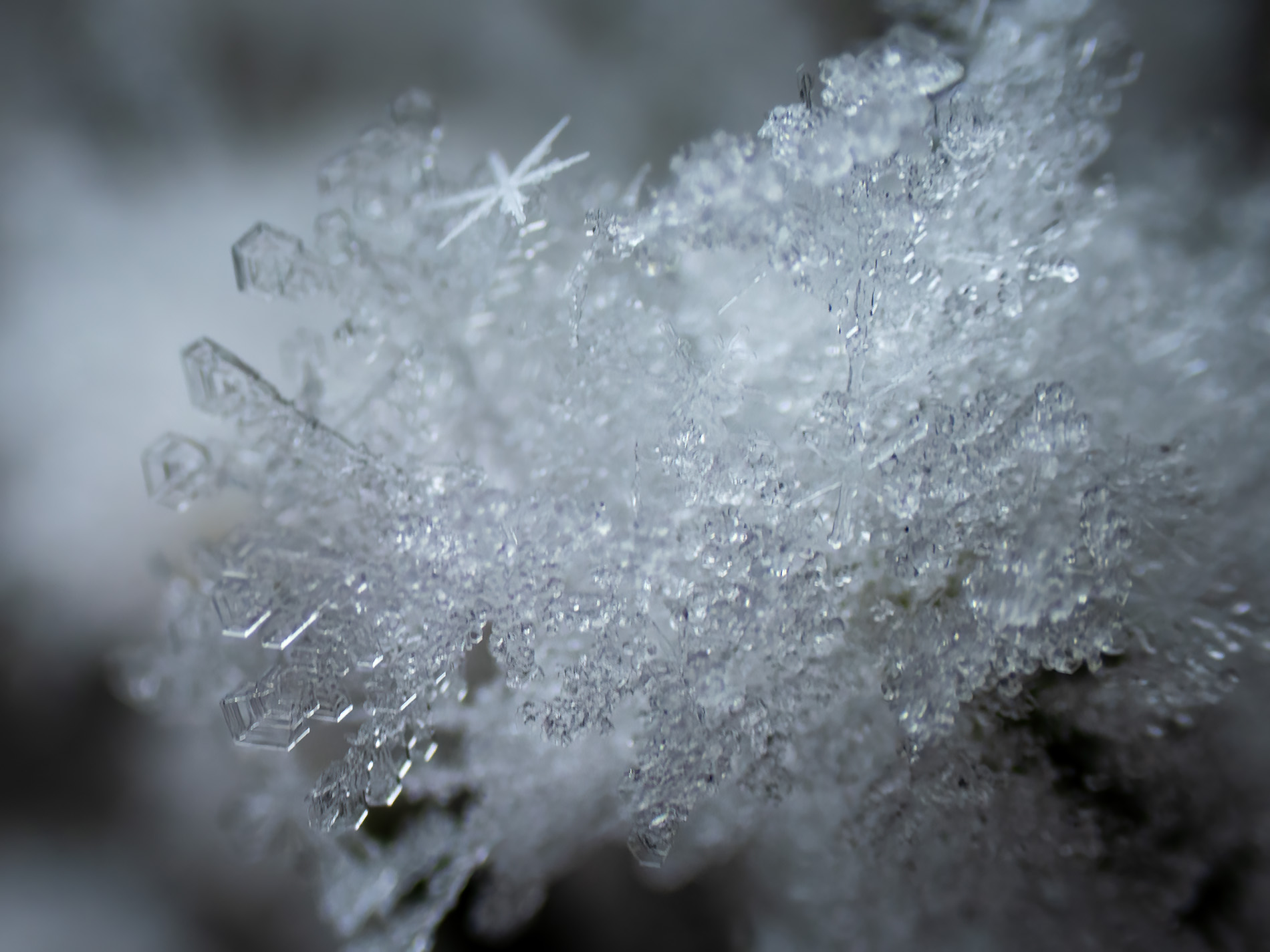 The Crystaline Entity, Gray Park, Strathmore, AB, 2026-01-04