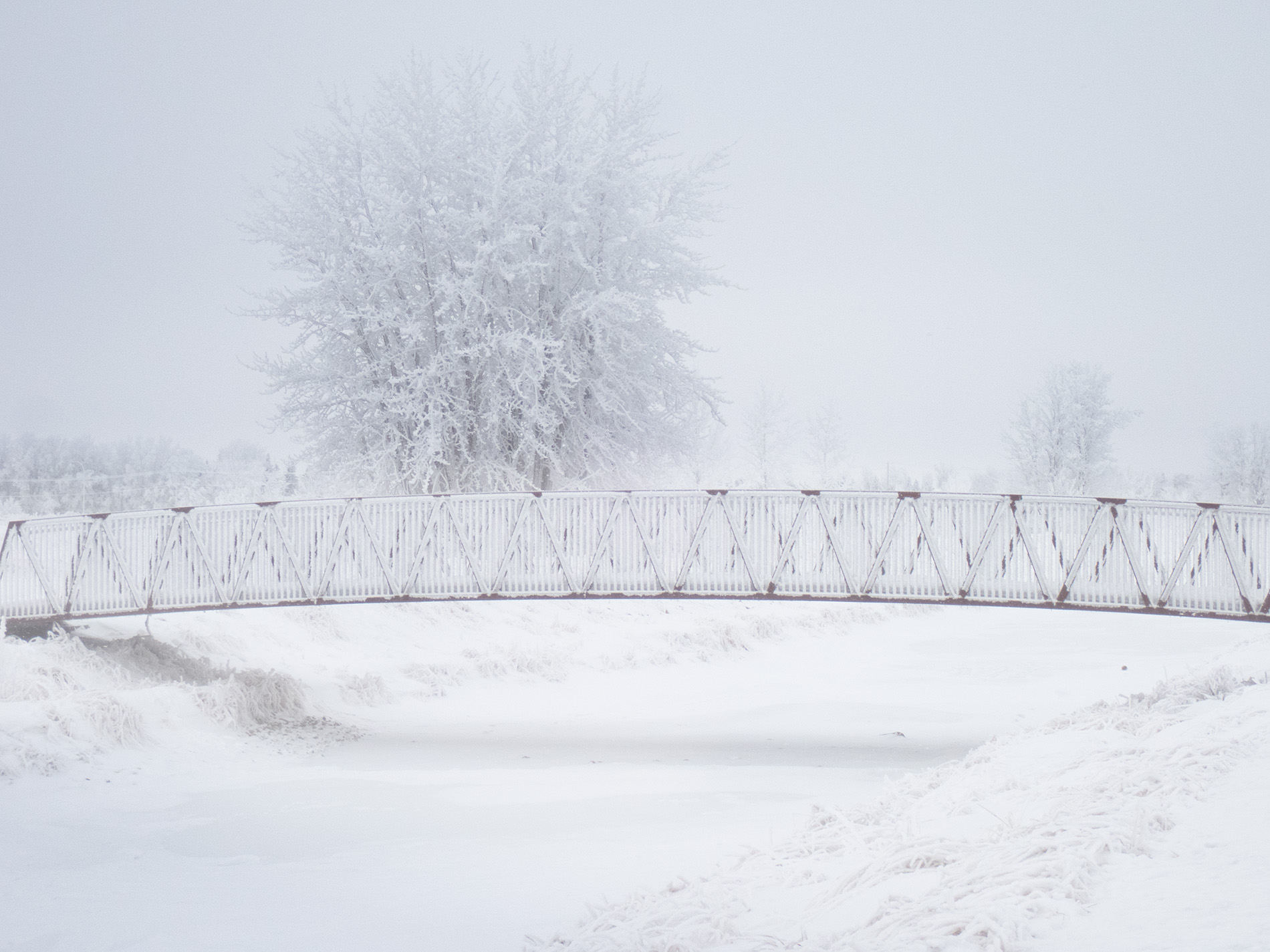 Fog advisory, Tom Sadler Bridge, Strathmore, AB, 2026-01-04