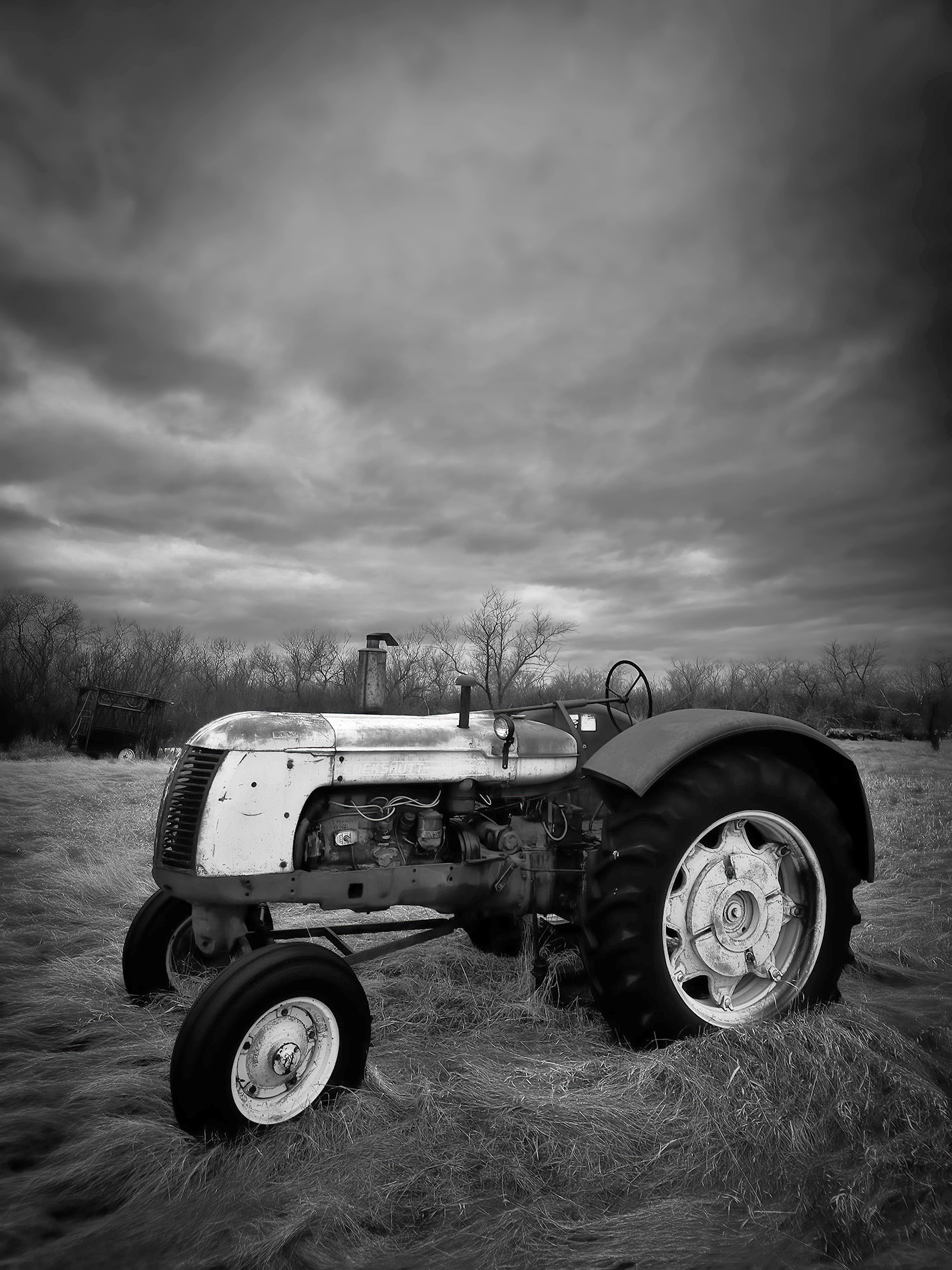 Drama queen, Sunnyridge Farm, Kirriemuir, AB, 2026-04-08