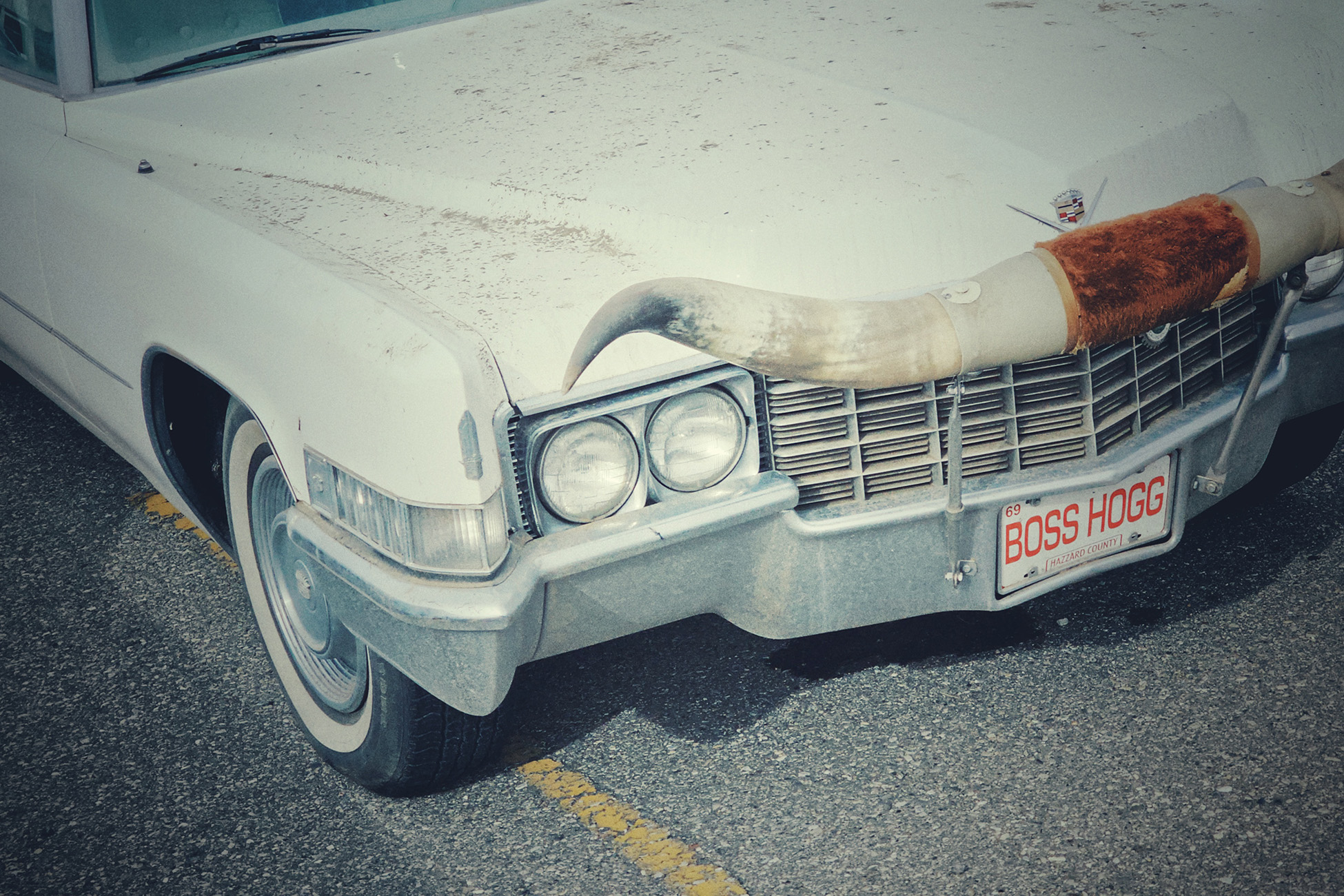 Hogging the spotlight, Classic Caddy, Vulcan, AB, 2026-03-07