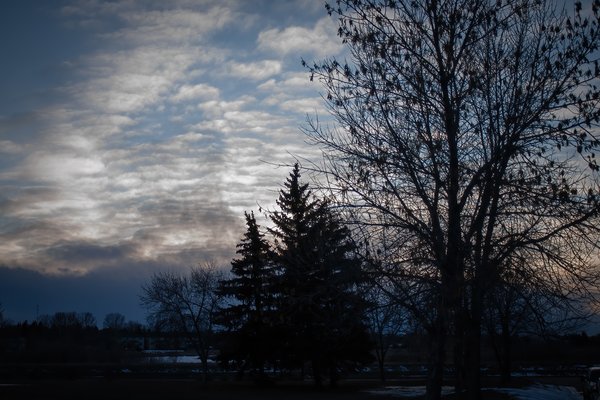 Encroaching Storm, Thornbriar Green, Strathmore, Alberta. 2024-02-25