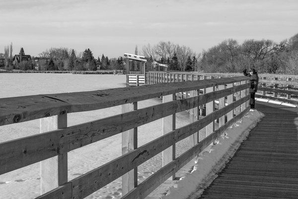 Jennifer watching some birds, Telford Lake,, Leduc, Alberta, 2024-03-10