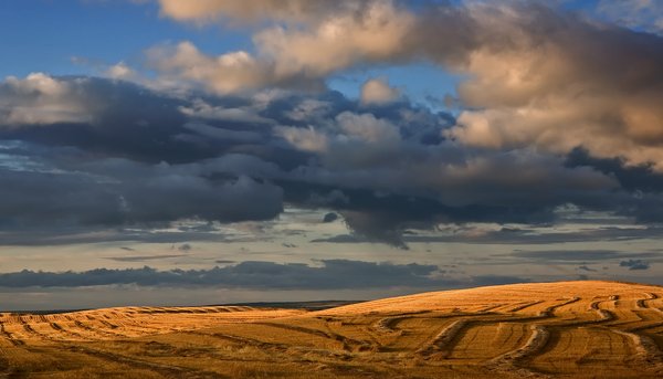 Swaths and lines