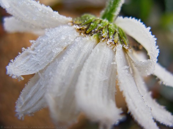 The big chill [2 of 2]