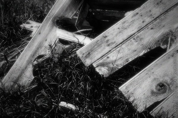 Remnants of two-seater outhouse