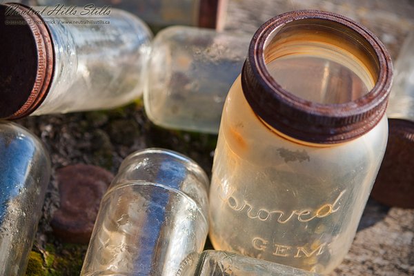 Abandoned canning jars