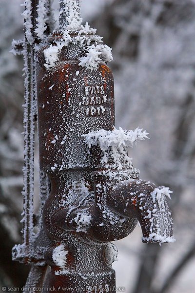 Cold water tap [1 of 2]