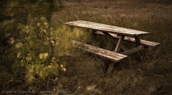 Too windy for a picnic