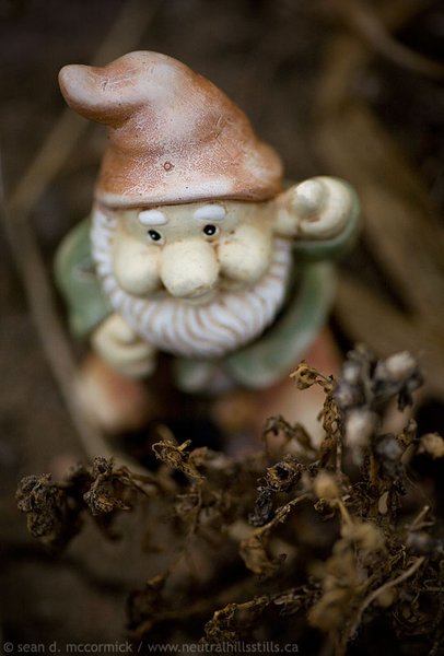 Gnome is where the heart is