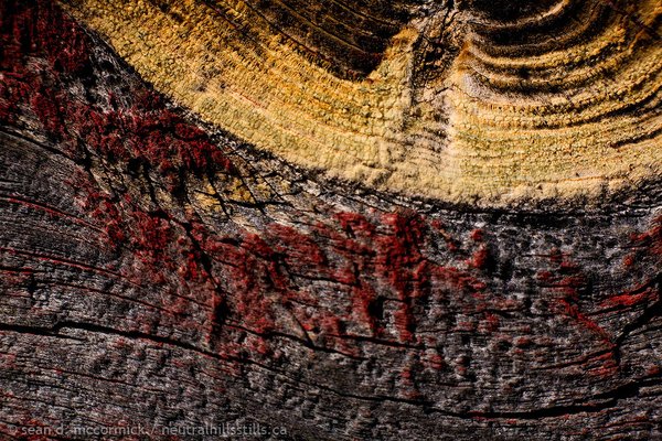 Knot hole closeup and wood with faded paint