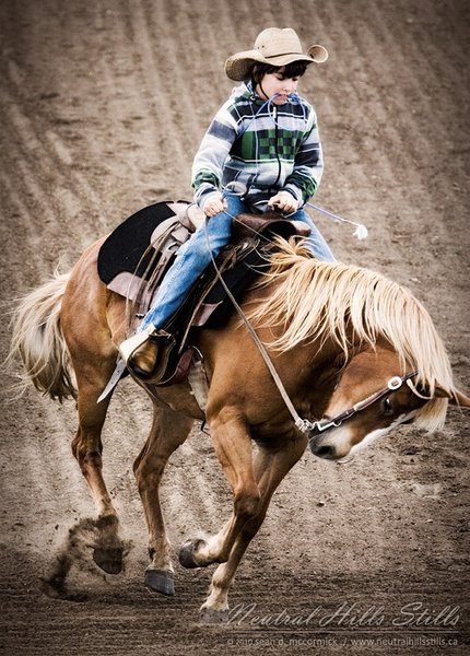 Consort 4H Rodeo, Spring 2010: Bad attitude