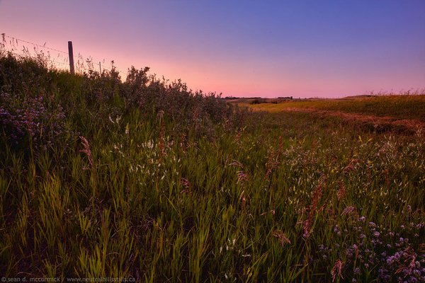 Roadside attraction [1 of 2]