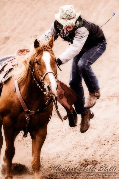 Consort 4H Rodeo, Spring 2010: The ejector seat costs extra