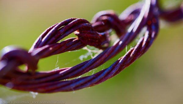 Totally wired