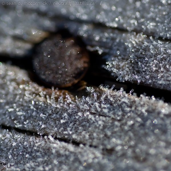 Frost on the front porch