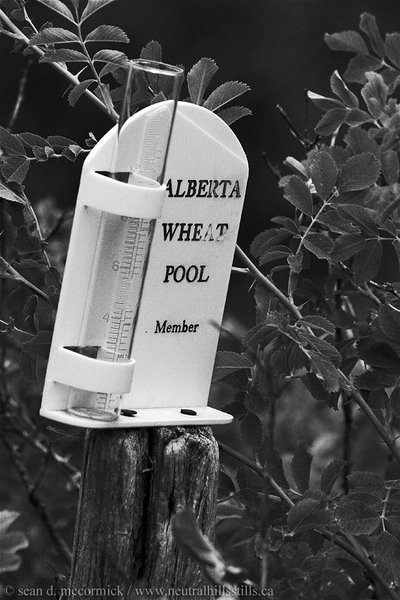 Collectible: Alberta Wheat Pool rain gauge