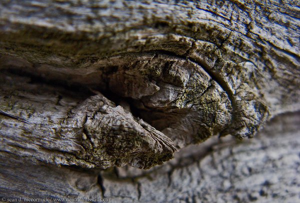 Feeling knotty