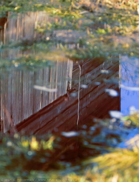 Barn reflected