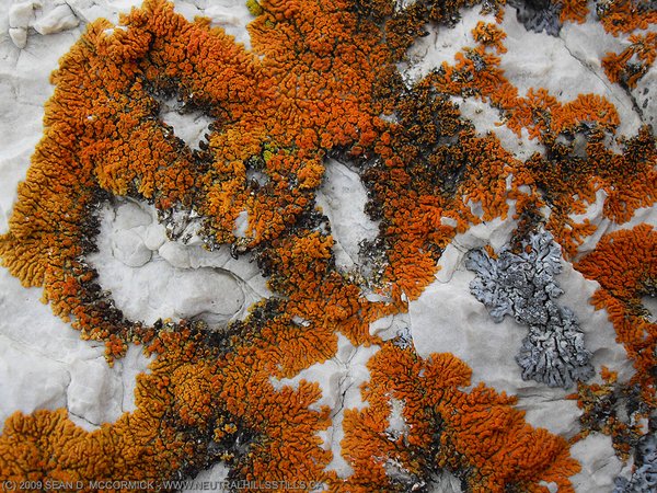 Detail underfoot [1 of 2]