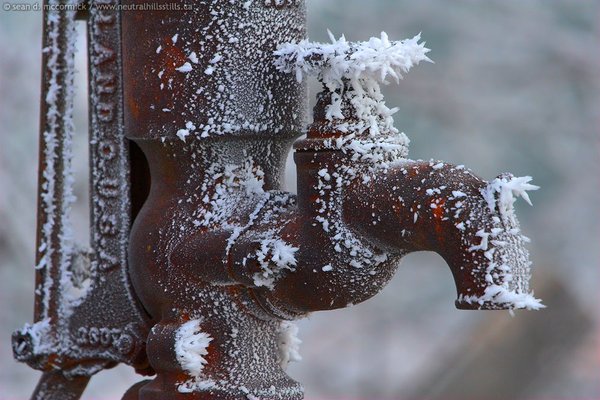 Cold water tap [2 of 2]
