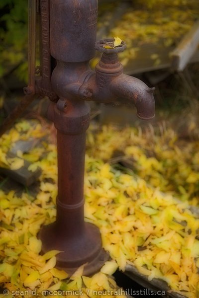Antique pump and fall leaves