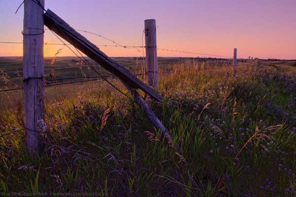 Roadside attraction [1 of 2]
