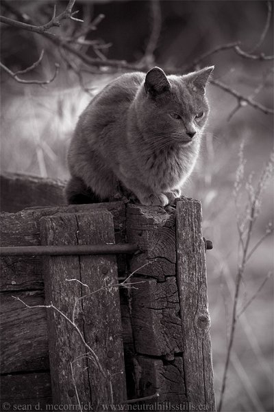 Relaxing at the end of the day