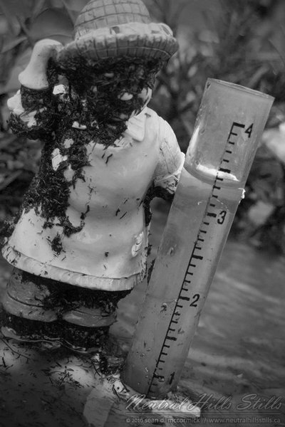 Over 3 inches in half an hour