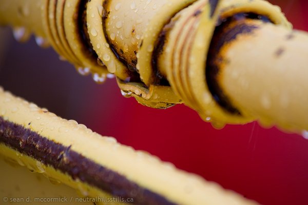 Rain on the haybine