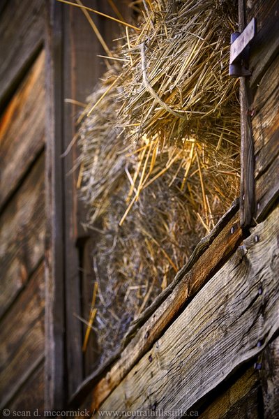 When barns start to leak...