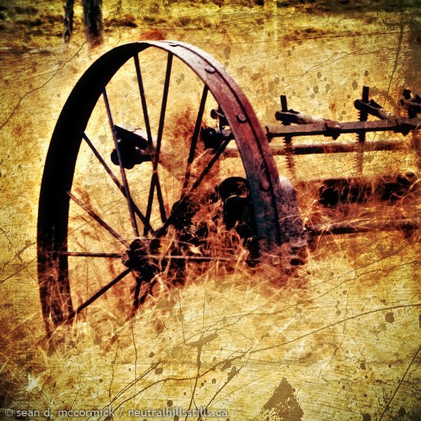 Old cultivator in grass