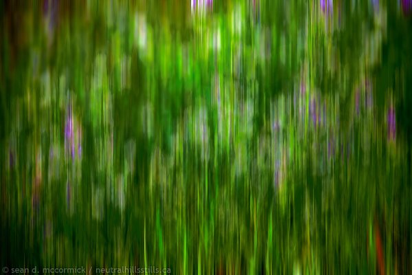 Over the clover