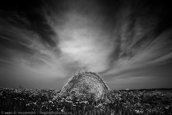Baleful
