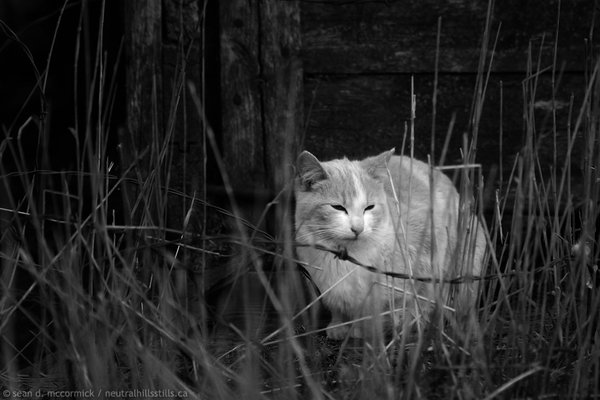 Maintaining a defensive permimeter